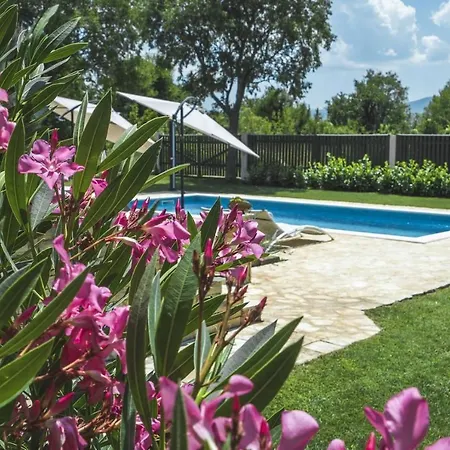 Ctim250/ Modern With Private Pool In Imotski -makarska, Ideal For 7 Persons * Donji Proložac